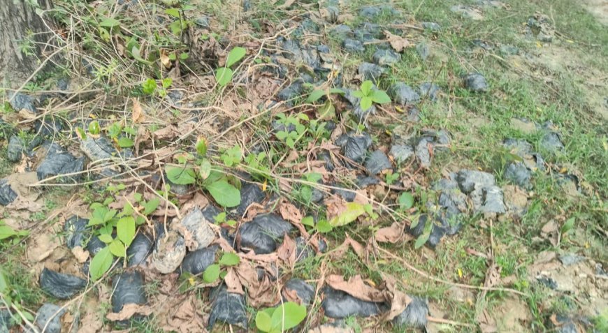 ब्लाक महराजगंज में लापरवाही व भ्रष्टाचार का एक और कारनामा उजागर