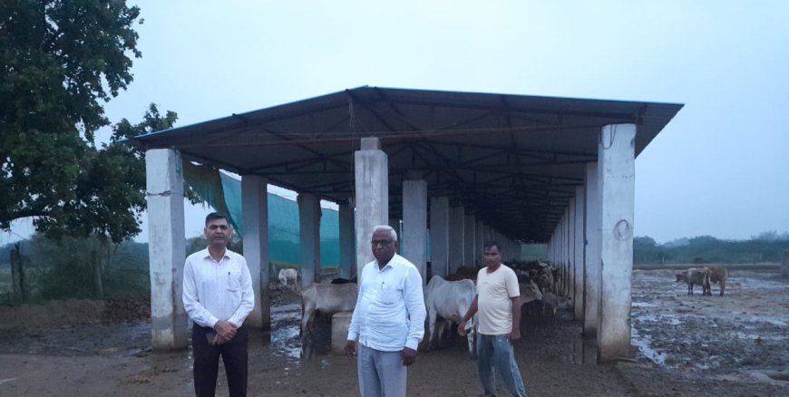 सीडीओ ने सभी गौशालाओं में व्यवस्था दुरुस्त रखने के दिए निर्देश, लापरवाही पर होगी कार्यवाही